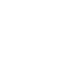 inclusion
